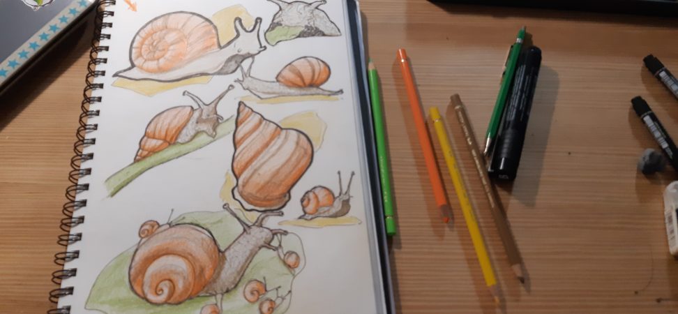 Carnet de dessin avec des escargots dessinés, crayons de couleurs et feutre sur table en bois