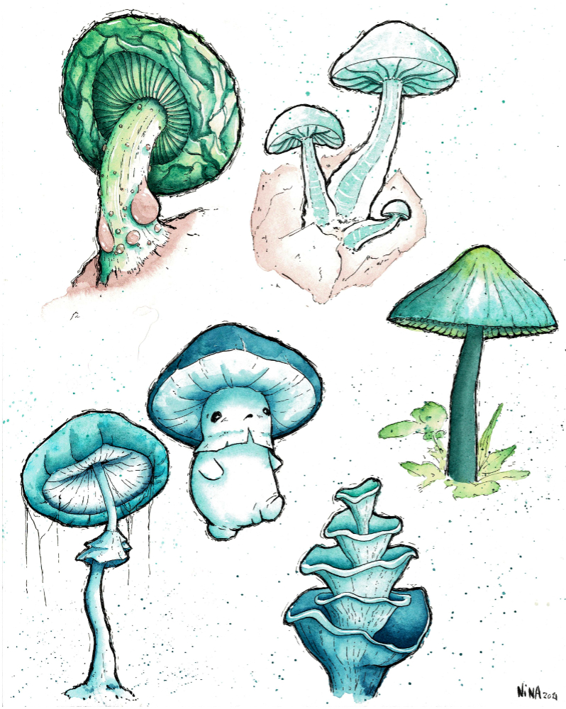 illustration de champignons